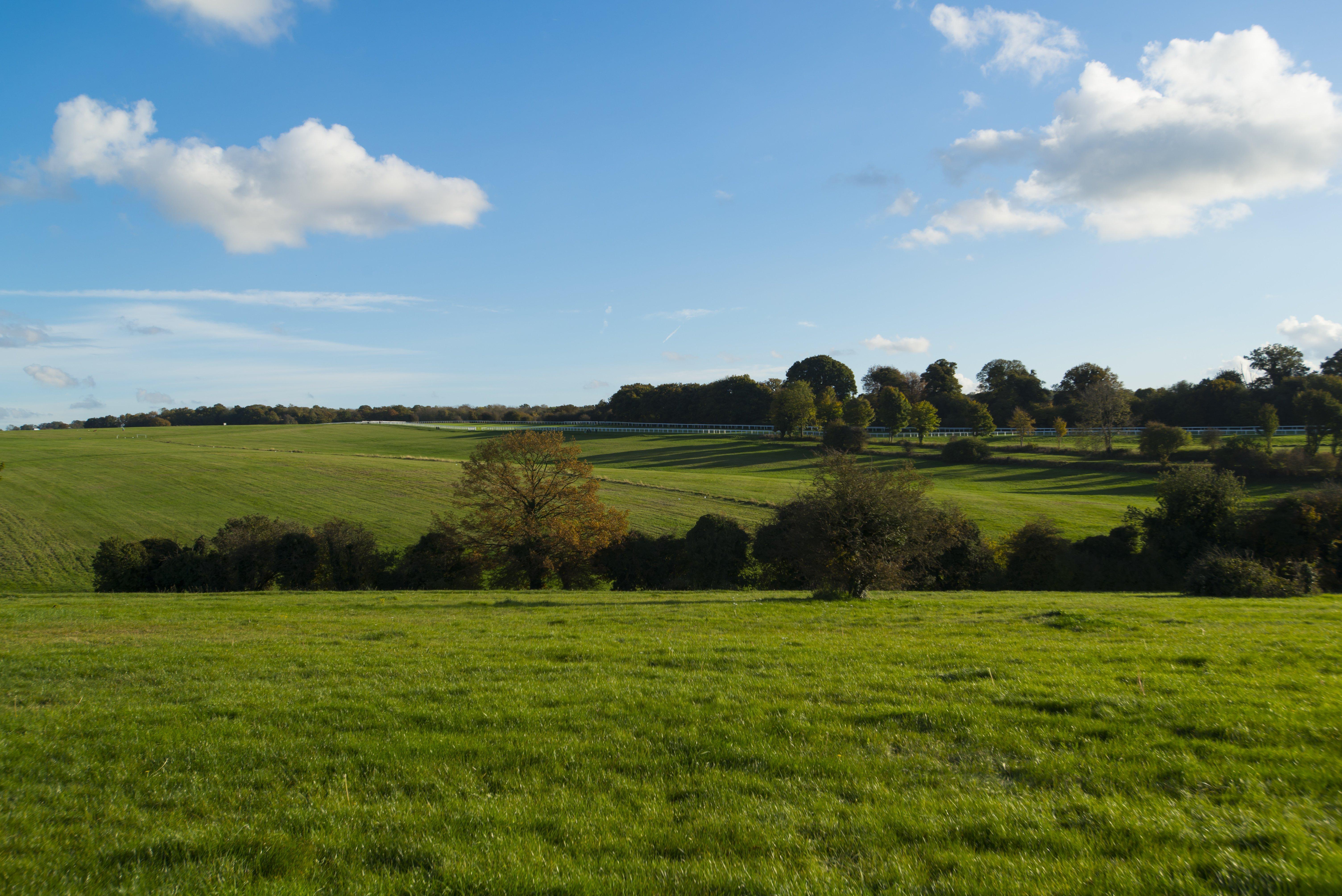 Express London - Downs By Ihg Epsom